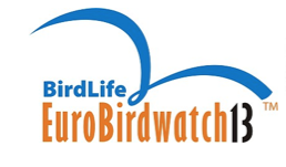 euro birdwatch 2013 