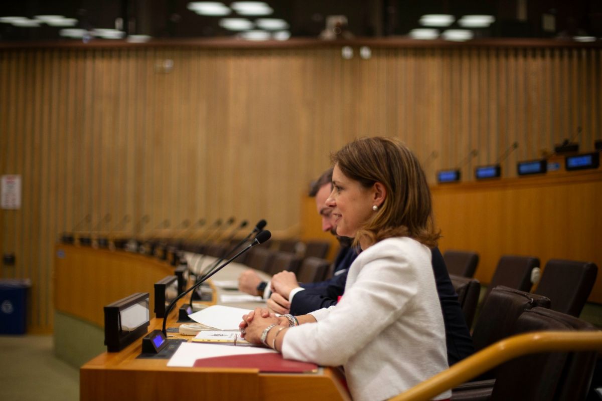 Arias-Vasquez Addresses UN Special Committee on Decolonisation 