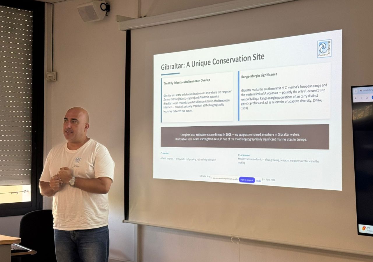 Gibraltar Seagrass Project Showcased At International Conference