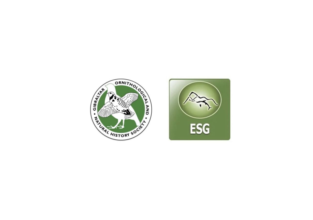 ESG And GONHS Raise Concerns Over Bluefin Tuna Fishing Season
